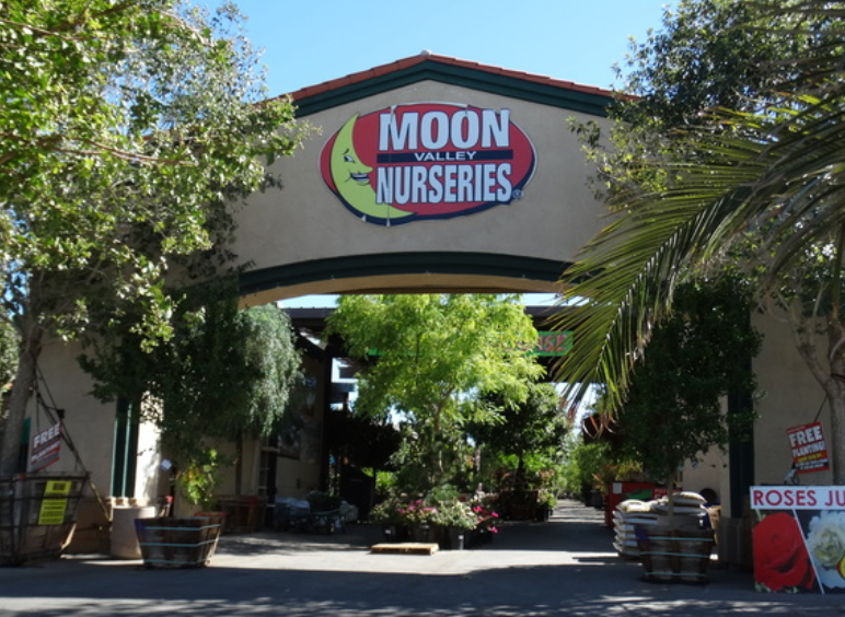 25 years of Moon Valley Nurseries and How We Got Started